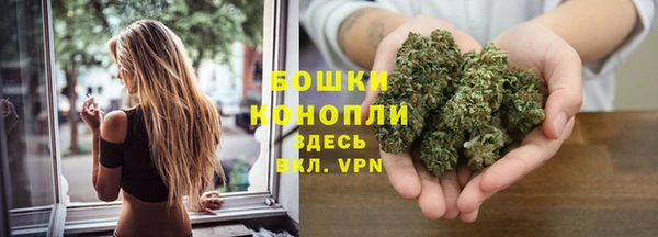 молекула духа Осинники