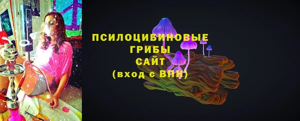 молекула духа Осинники