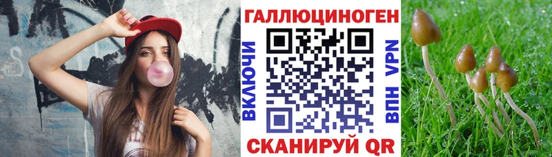 сколько стоит  Серафимович  Галлюциногенные грибы прущие грибы 